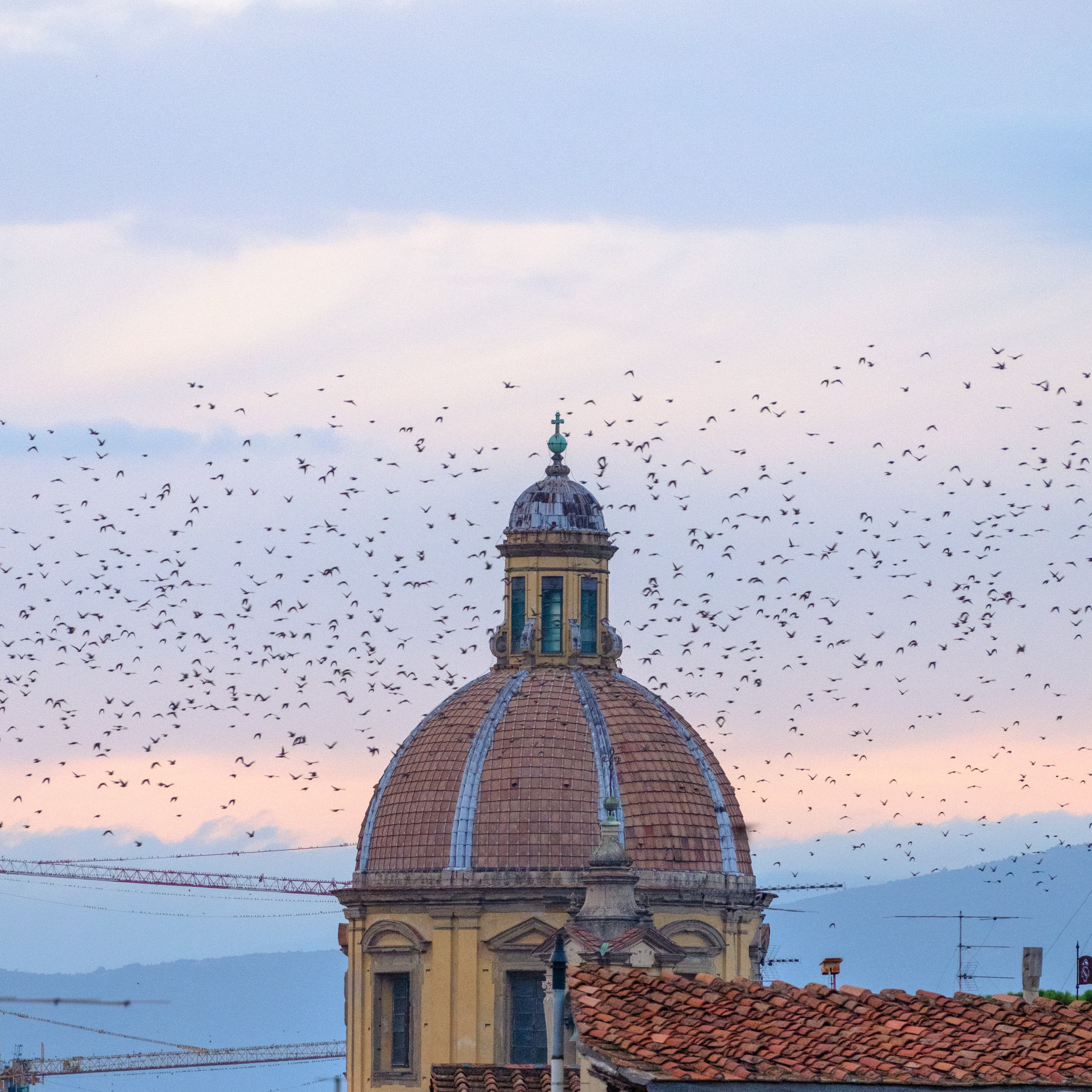 159mm · f/5 · 1/250s · ISO 1250
FUJIFILM X-T5 · XF70-300mmF4-5.6 R LM OIS WR · Oct 14, 2024
A murmuration of birds circles a Florentine dome at sunset.
Florence, Italy
© Brandon Cook