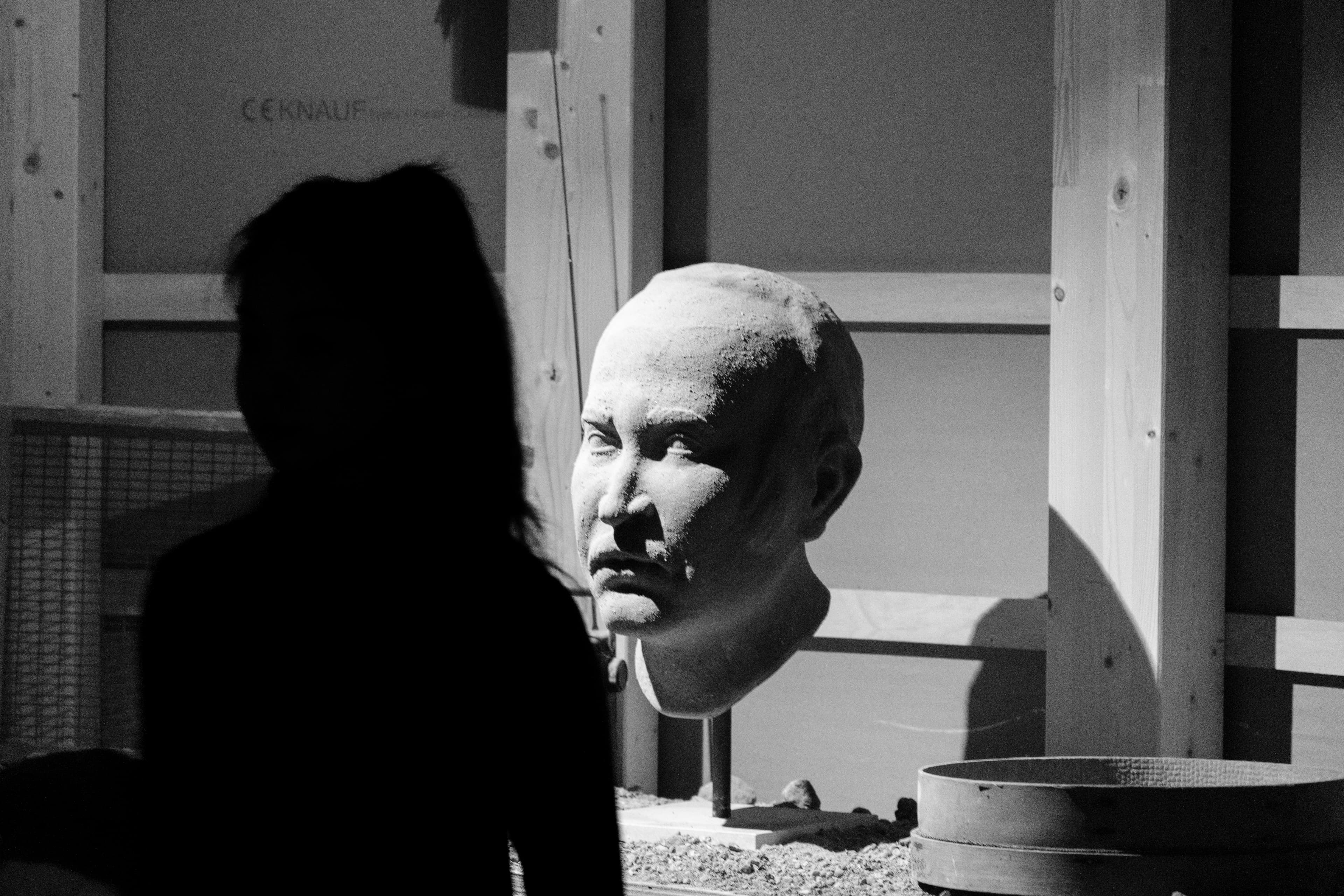 70mm · f/4 · 1/25s · ISO 6400
FUJIFILM X-T5 · XF70-300mmF4-5.6 R LM OIS WR · Oct 18, 2024
Dark silhouette facing a brightly lit sculpted head.
Venice, Italy
© Brandon Cook